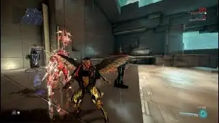 Gara Prime, Roar Build, Warframe