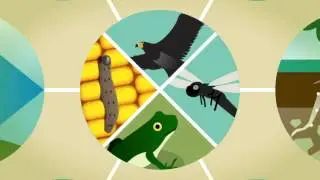 Ecosystem Services (English)