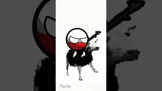 polish cow #meme #flipaclip #polandball #animation #funny