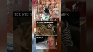 Ах ты скотина