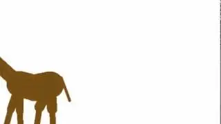 Wild Horse