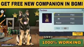 GET FREE NEW COMPANION IN BGMI | NEW BGMI GERMAN SHEPHERD COMPANION IN BGMI | IMSPARROW