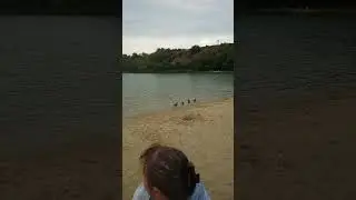 Пляж Ласковский.Тамбов 20.08.2024 г.😁👍🤘🔥
