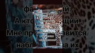 Поэзия Стихи Проза Музыка Релакс  | Красивые Видео #shorts #fyr #relax #psicologia