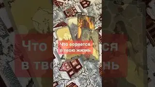 Что ворвется в твою жизнь