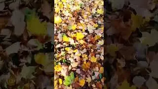 Наступила осень. Хочу обратно в май 😊