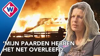Grote paniek in paardenstal door brand