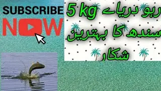 fishing videos new 2023 big rohu fish catching in river#fishingtips #angler #bigfish #fishingmethod