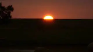 Tropilha veiaca