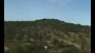 IDF Israeli Terrorist Force terrorizing & beating demonstrat