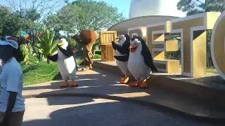 Alex o leão , Beto carrero World