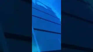 wow