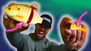The ULTIMATE Murray Cod Lure Combination (River Fishing)