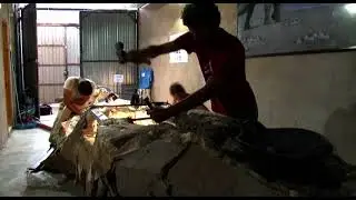 II parte. Descrita una nueva especie de dinosaurio que vivió en los Pirineos