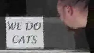 We Do Cats