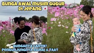 romantis bersama istri jepang di pematang Bunga khas musim gugur
