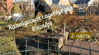 #сад