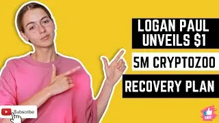 Logan Paul unveils $1 5M CryptoZoo recovery plan