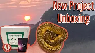 New Project Unboxing From Leviathan Snakes and Small Town Xotics
