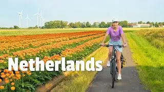 Netherlands by Bike! 🇳🇱 Why the Dutch Cycle Daily