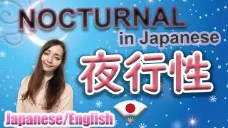 夜行性（yakou-sei やこうせい）NOCTURNAL in Japanese and related things #LearnJapanese #JapaneseLesson