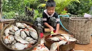 Yummy Red tail fish cooking with 2 recipes - Chef Seyhak