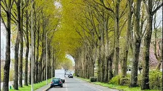 #Shorts #France #trending #viral #shortvideo #youtubesh #youtube