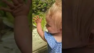 реакция на что то новое #cute #funny