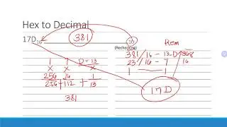 Hexadecimal Conversions