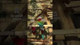 Это могли быть мы, но ты мне не пишешь ☹️ 