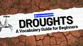 🌡️💧 Droughts: Vocabulary Guide for Beginners 