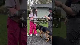 The Moment I Met My GSD Guide Dog #GuideDog #ServiceDog #Blind #LowVision #DreamsComeTrue ￼