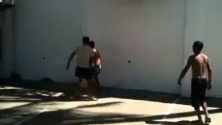 Coco palm basketball