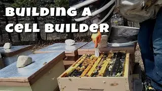 More Brood Nest Inspections And Building A Cell Builder