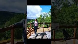 И снова Бобровый лог