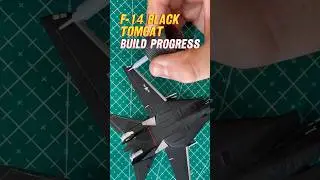 Fighter jet assembly/Paint Process F-14 Tomcat 
