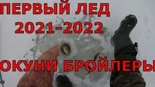ПЕРВЫЙ ЛЕД 2021-2022 ловля  КРУПНОГО ОКУНЯ рыбалка на безмотылку