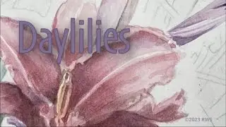 bobbywayne New Release - “Daylilies”