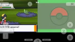 #2 Pokemon Heart Gold-Second gym leader.