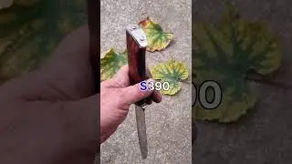 18 сентября 2023 г.