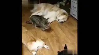 Mission impossible