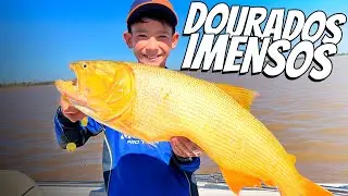 GIANT GOLDEN FISH IN ARGENTINA, THE FISHING OF DREAMS!