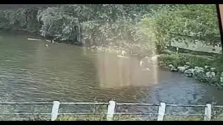 белорецк