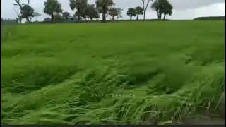The weather before raining . Nature view ! Bangladesh ❣️