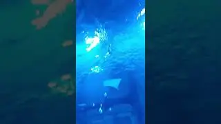 Magic Aquarium Tashkent🇺🇿 Super kristalno chistaya voda #magiccity #magicaquarium #tashkentcity
