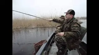 Ловля красноперки на колбасу