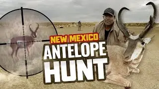 Antelope Hunting in New Mexico