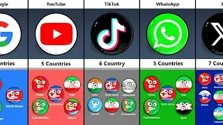How Many Countries Have Banned The Same Social Media?