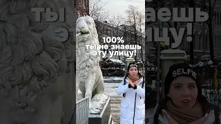 Самая странная улица в Петербурге #shorts #николайвасин