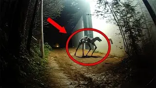 СУЩЕСТВО УБИЛО КАБАНА